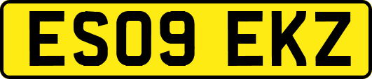 ES09EKZ