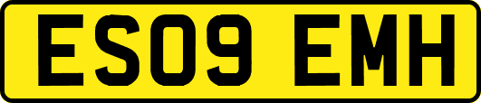 ES09EMH