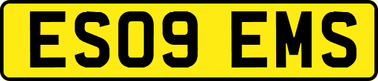 ES09EMS
