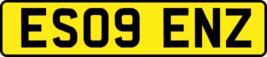 ES09ENZ