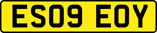 ES09EOY