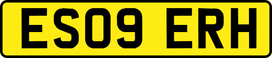 ES09ERH