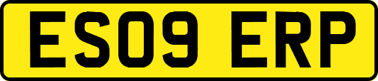 ES09ERP