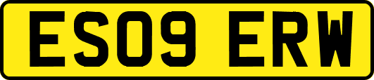 ES09ERW