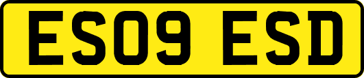 ES09ESD