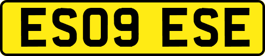 ES09ESE