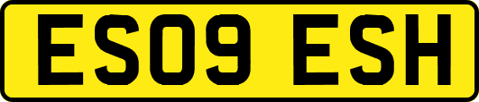 ES09ESH