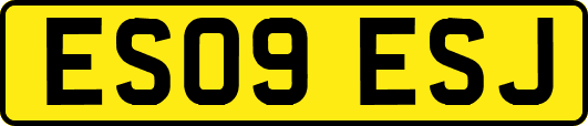 ES09ESJ