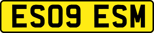 ES09ESM