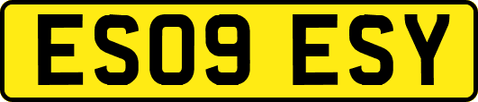 ES09ESY