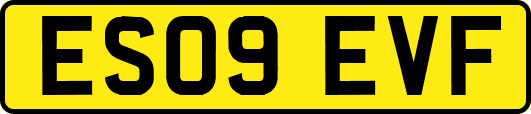 ES09EVF
