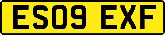 ES09EXF