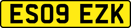 ES09EZK