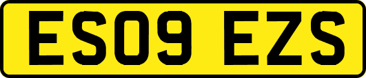 ES09EZS