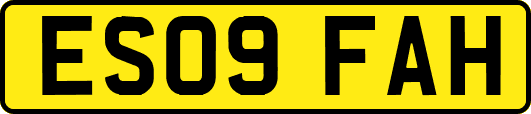 ES09FAH