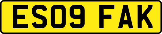 ES09FAK