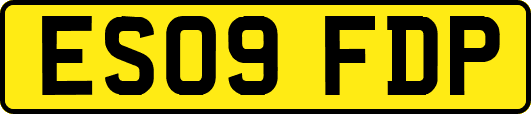 ES09FDP