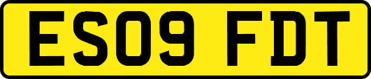 ES09FDT