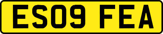 ES09FEA
