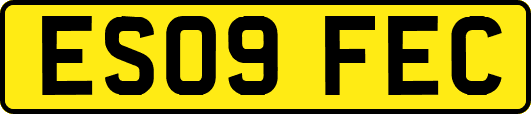 ES09FEC