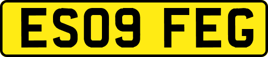 ES09FEG