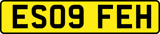 ES09FEH
