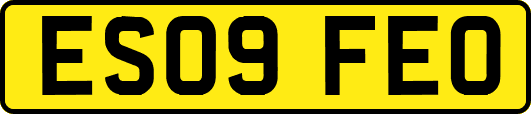 ES09FEO