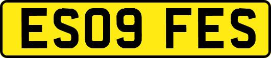 ES09FES