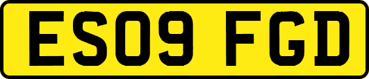 ES09FGD