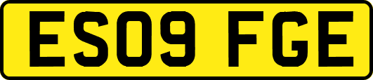 ES09FGE