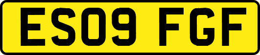 ES09FGF
