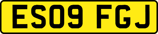 ES09FGJ