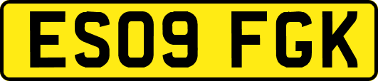ES09FGK