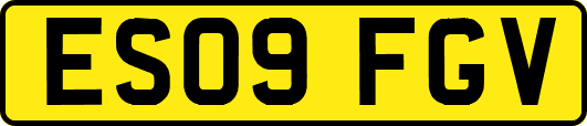 ES09FGV