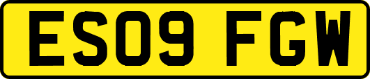 ES09FGW