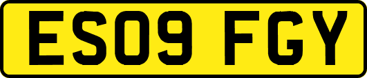 ES09FGY