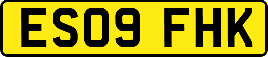 ES09FHK