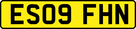ES09FHN