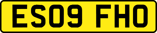 ES09FHO