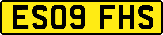 ES09FHS
