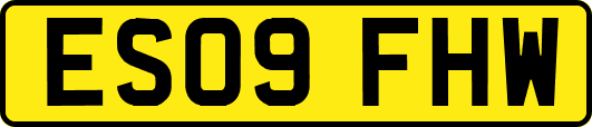 ES09FHW
