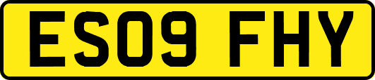 ES09FHY