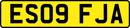 ES09FJA