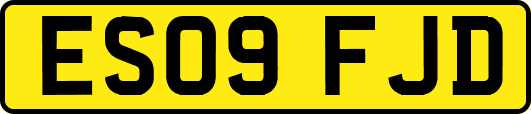 ES09FJD