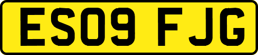 ES09FJG
