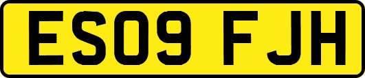 ES09FJH