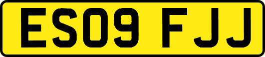 ES09FJJ