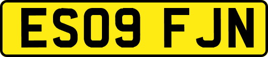 ES09FJN