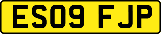ES09FJP