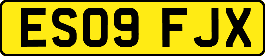 ES09FJX